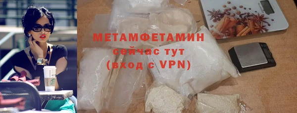 прущие грибы Пестово