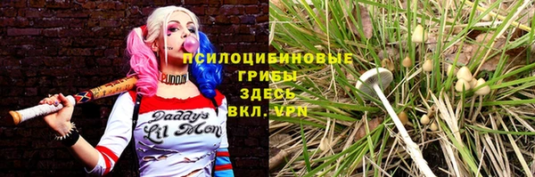 амфетамин Дмитриев