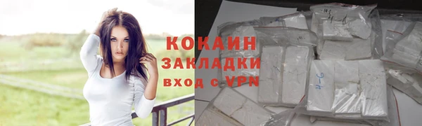 соль ск Дмитровск