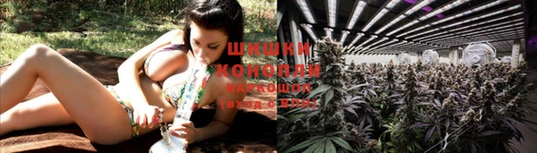дурь Дмитров