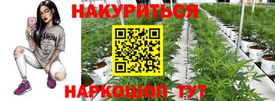 spice Балахна