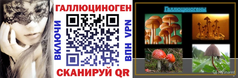 блэк спрут рабочий сайт Заречный Галлюциногенные грибы Psilocybe