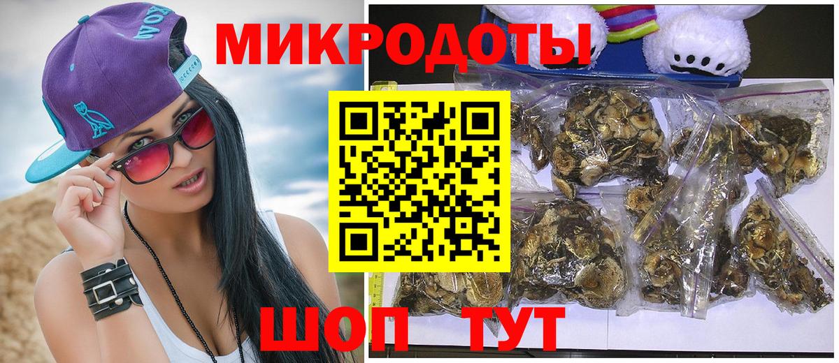 Псилоцибиновые грибы мицелий Заречный
