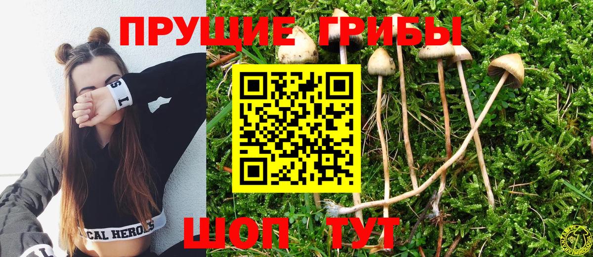 Галлюциногенные грибы Cubensis Заречный