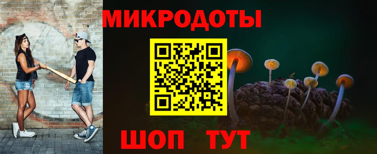 Заречный  Галлюциногенные грибы прущие грибы  что такое   Вход с VPN 
