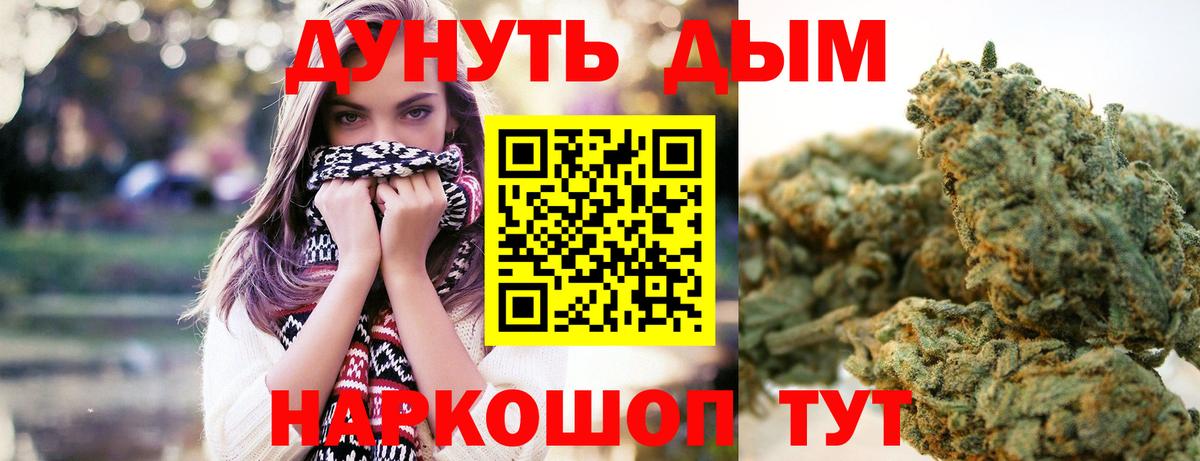 Бошки марихуана марихуана  Бошки марихуана ГИДРОПОН  Марихуана конопля  МАРИХУАНА конопля  Заречный 